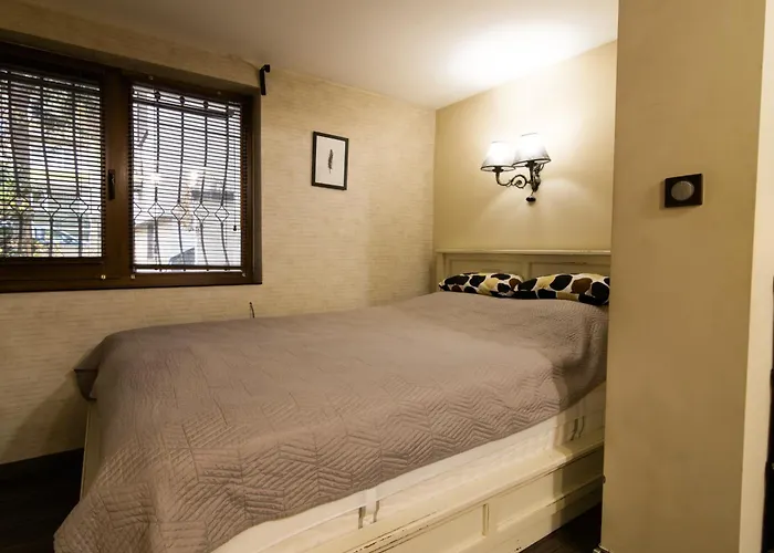 Apartament Vintage Lozenets *