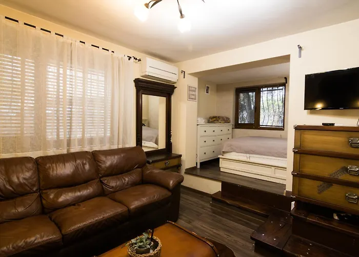 Vintage Lozenets 索菲亞